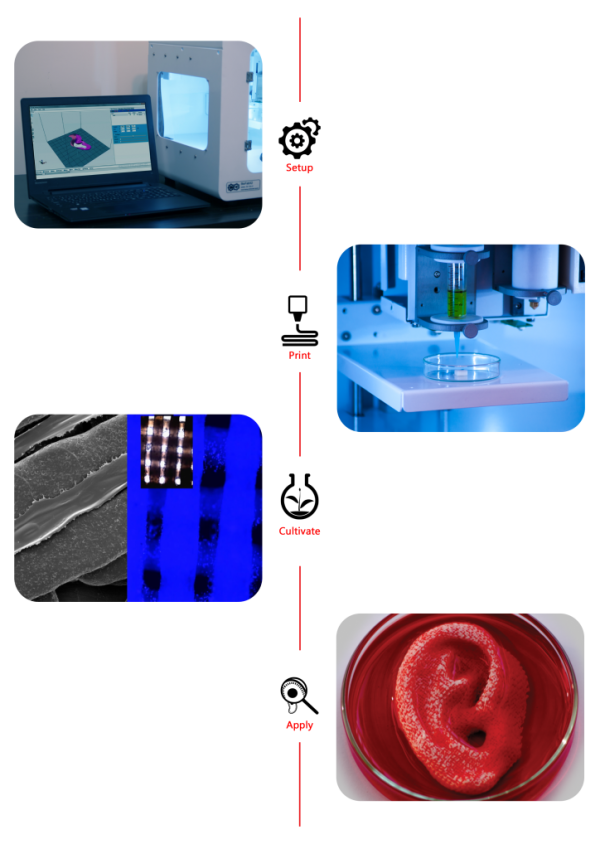 3D-Bioprinting services