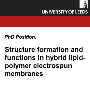 Structure formation and functions in hybrid lipid-polymer electrospun membranes